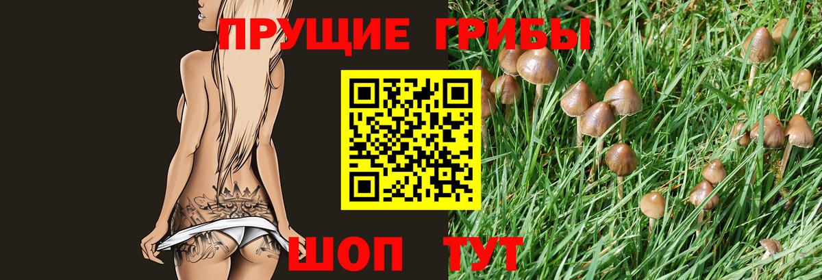 Симферополь  Галлюциногенные грибы ЛСД  Вход с VPN  Галлюциногенные грибы Psilocybe 